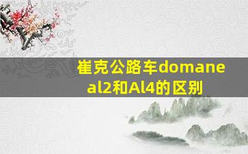 崔克公路车domane al2和Al4的区别